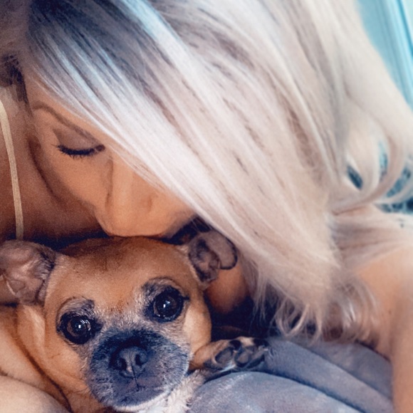 Meet your Posher, Elsie - Picture 4 of 4